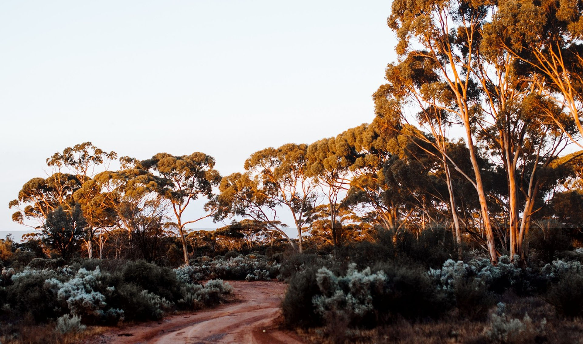 Background Media Background Media